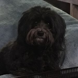 Meet your Posher, Wendy